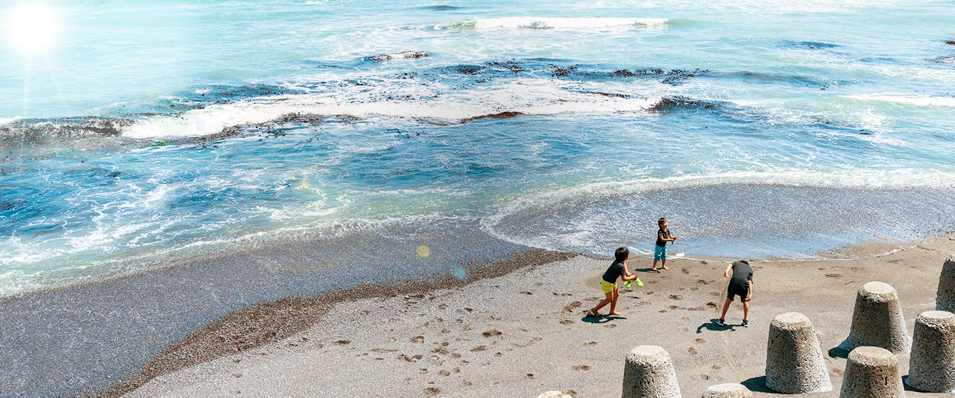 写真：広尾町の海岸