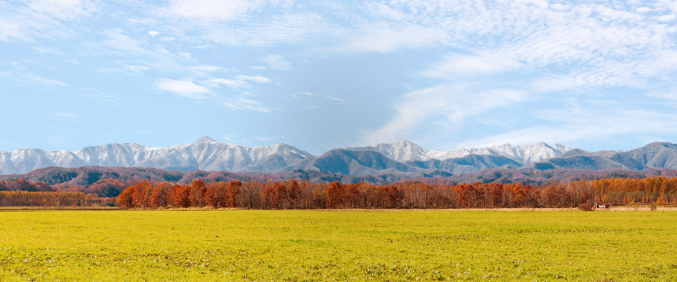 写真：広尾町の山と自然