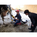農家さんの作業を見学させてもらっているところ