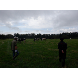 放牧地の見学