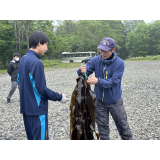 漁業分野（昆布干し体験）