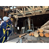 林業分野（工場見学）