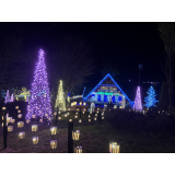 イルミネーション1