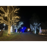 イルミネーション2