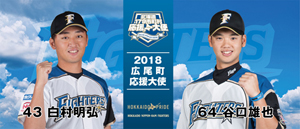 応援大使タオルデザイン（縦34cm×横80cm　綿100％）
