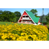 広尾町の花スポット