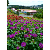 広尾町の花スポット