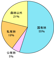 森林面積グラフ